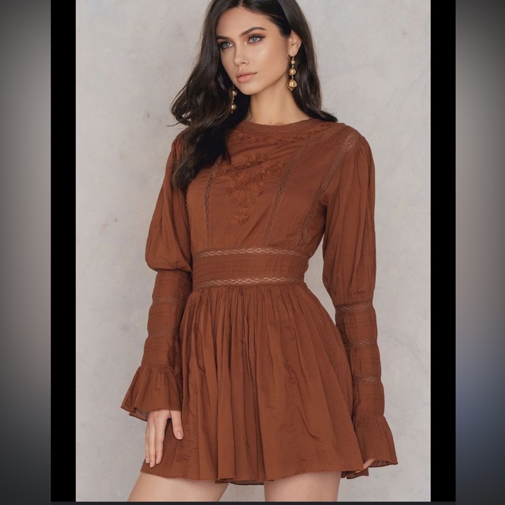 Free People Victorian Terracotta Embroidered Long Sleeve Dress